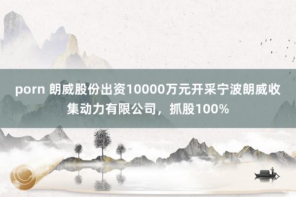 porn 朗威股份出资10000万元开采宁波朗威收集动力有限公司，抓股100%