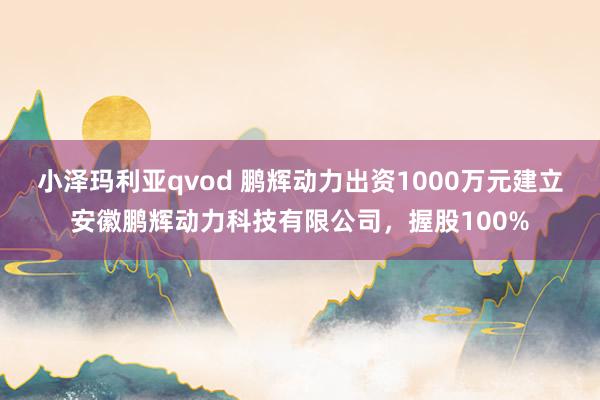 小泽玛利亚qvod 鹏辉动力出资1000万元建立安徽鹏辉动力科技有限公司，握股100%