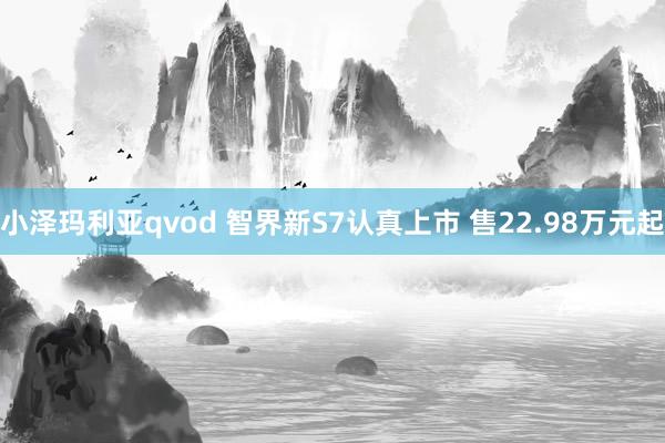 小泽玛利亚qvod 智界新S7认真上市 售22.98万元起