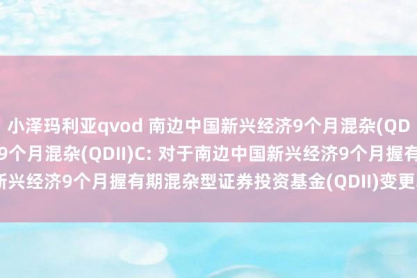 小泽玛利亚qvod 南边中国新兴经济9个月混杂(QDII)A，南边中国新兴经济9个月混杂(QDII)C: 对于南边中国新兴经济9个月握有期混杂型证券投资基金(QDII)变更基金司理的公告