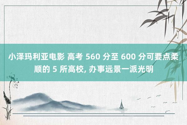 小泽玛利亚电影 高考 560 分至 600 分可要点柔顺的 5 所高校， 办事远景一派光明