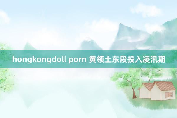 hongkongdoll porn 黄领土东段投入凌汛期