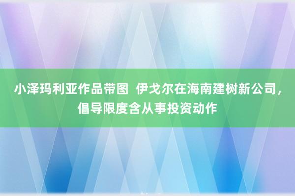 小泽玛利亚作品带图  伊戈尔在海南建树新公司，倡导限度含从事投资动作