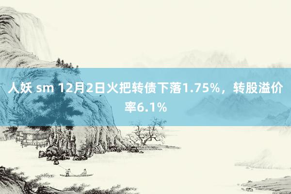 人妖 sm 12月2日火把转债下落1.75%，转股溢价率6.1%