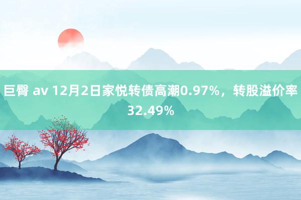 巨臀 av 12月2日家悦转债高潮0.97%，转股溢价率32.49%