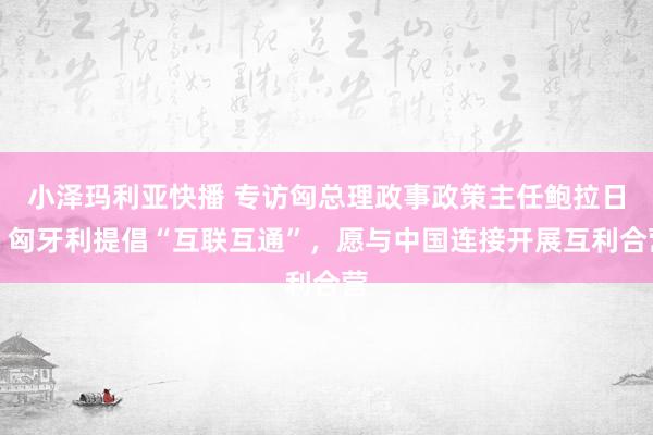 小泽玛利亚快播 专访匈总理政事政策主任鲍拉日：匈牙利提倡“互联互通”，愿与中国连接开展互利合营