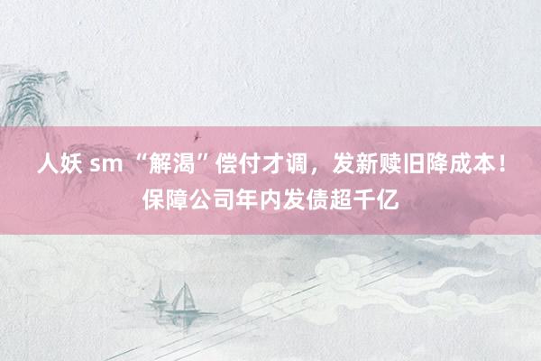 人妖 sm “解渴”偿付才调，发新赎旧降成本！保障公司年内发债超千亿