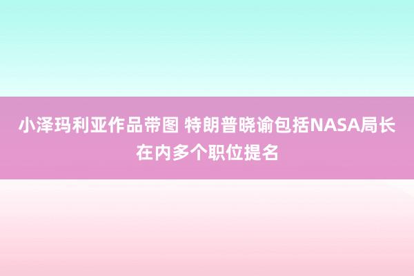 小泽玛利亚作品带图 特朗普晓谕包括NASA局长在内多个职位提名