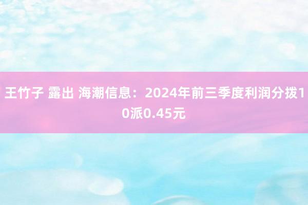 王竹子 露出 海潮信息：2024年前三季度利润分拨10派0.45元