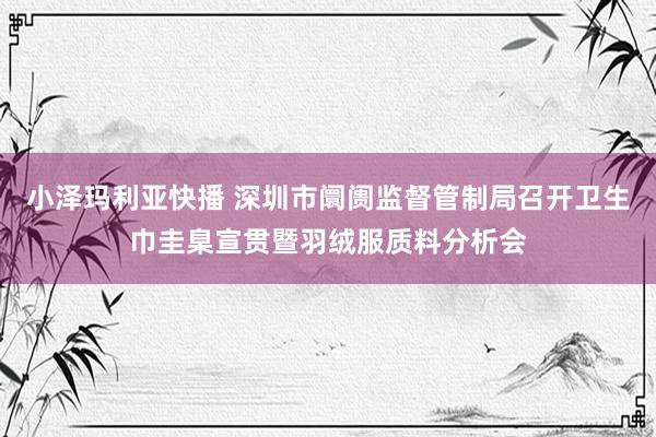 小泽玛利亚快播 深圳市阛阓监督管制局召开卫生巾圭臬宣贯暨羽绒服质料分析会