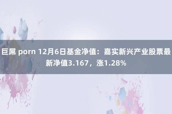 巨屌 porn 12月6日基金净值：嘉实新兴产业股票最新净值3.167，涨1.28%