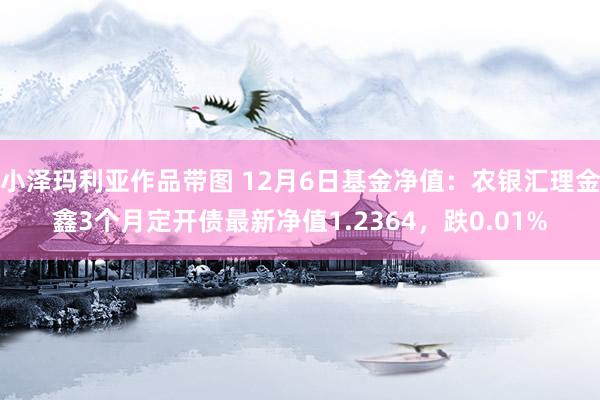 小泽玛利亚作品带图 12月6日基金净值：农银汇理金鑫3个月定开债最新净值1.2364，跌0.01%