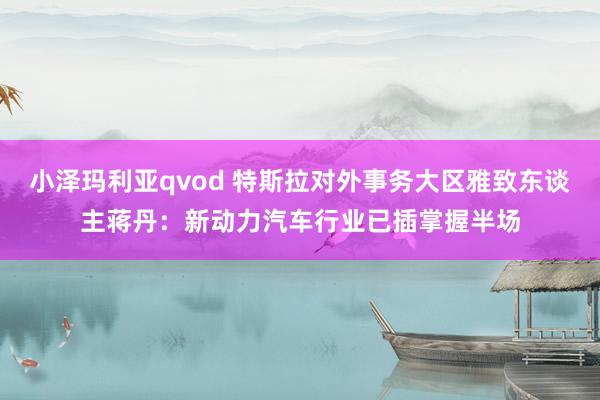 小泽玛利亚qvod 特斯拉对外事务大区雅致东谈主蒋丹：新动力汽车行业已插掌握半场