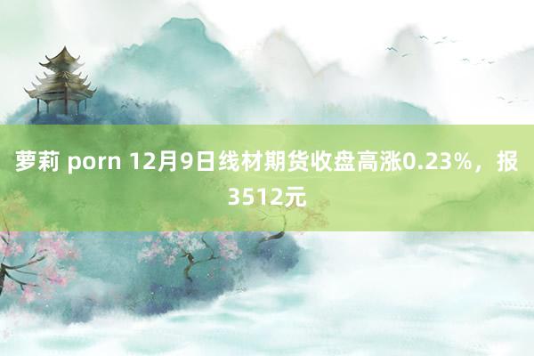 萝莉 porn 12月9日线材期货收盘高涨0.23%，报3512元