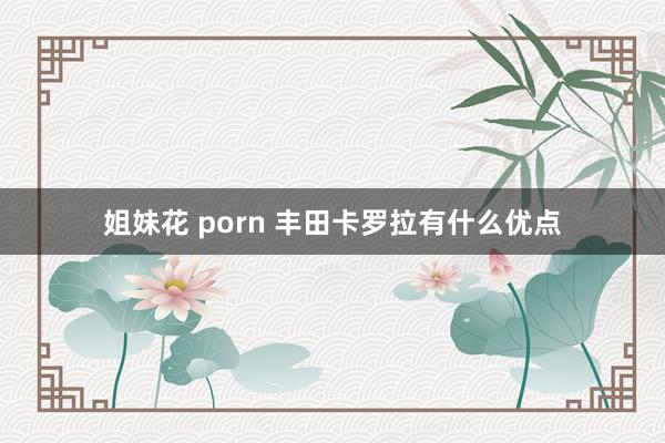 姐妹花 porn 丰田卡罗拉有什么优点