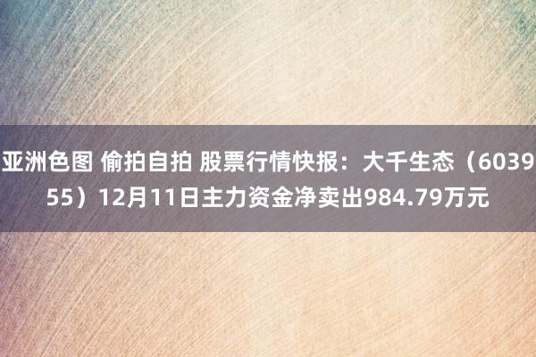 亚洲色图 偷拍自拍 股票行情快报：大千生态（603955）12月11日主力资金净卖出984.79万元