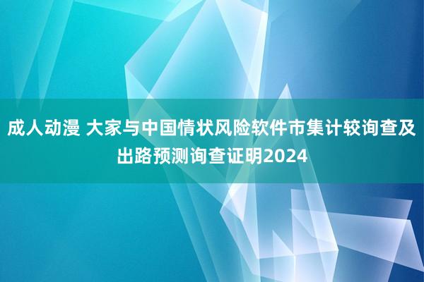 成人动漫 大家与中国情状风险软件市集计较询查及出路预测询查证明2024