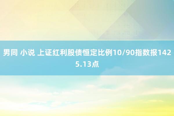 男同 小说 上证红利股债恒定比例10/90指数报1425.13点