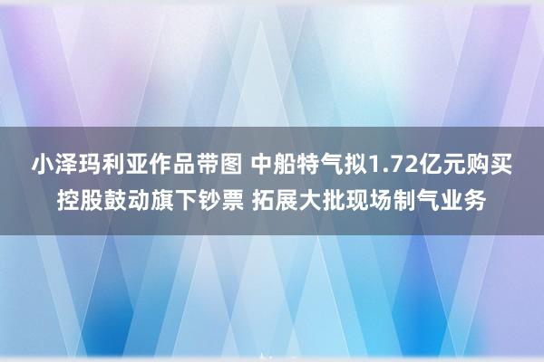 小泽玛利亚作品带图 中船特气拟1.72亿元购买控股鼓动旗下钞票 拓展大批现场制气业务