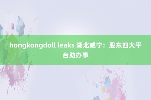 hongkongdoll leaks 湖北咸宁：股东四大平台助办事