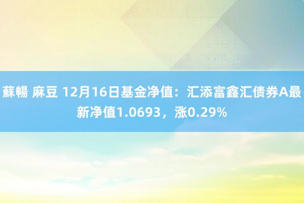 蘇暢 麻豆 12月16日基金净值：汇添富鑫汇债券A最新净值1.0693，涨0.29%