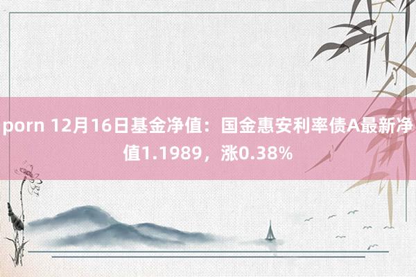 porn 12月16日基金净值：国金惠安利率债A最新净值1.1989，涨0.38%