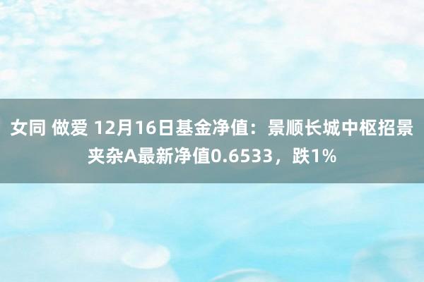 女同 做爱 12月16日基金净值：景顺长城中枢招景夹杂A最新净值0.6533，跌1%