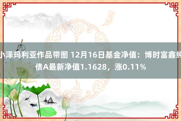 小泽玛利亚作品带图 12月16日基金净值：博时富鑫纯债A最新净值1.1628，涨0.11%