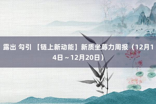 露出 勾引 【链上新动能】新质坐蓐力周报（12月14日～12月20日）