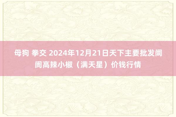 母狗 拳交 2024年12月21日天下主要批发阛阓高辣小椒（满天星）价钱行情