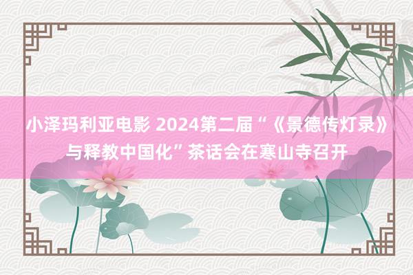 小泽玛利亚电影 2024第二届“《景德传灯录》与释教中国化”茶话会在寒山寺召开