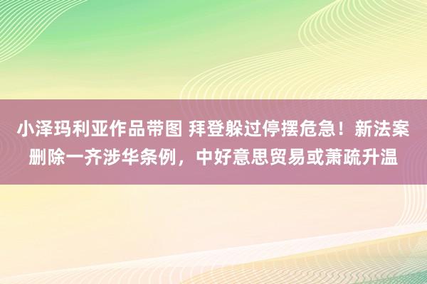 小泽玛利亚作品带图 拜登躲过停摆危急！新法案删除一齐涉华条例，中好意思贸易或萧疏升温