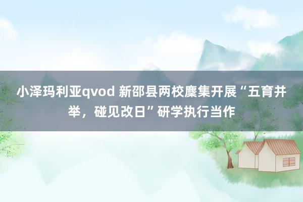 小泽玛利亚qvod 新邵县两校麇集开展“五育并举，碰见改日”研学执行当作