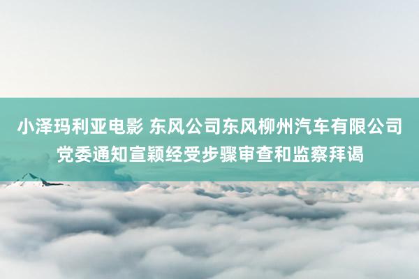 小泽玛利亚电影 东风公司东风柳州汽车有限公司党委通知宣颖经受步骤审查和监察拜谒