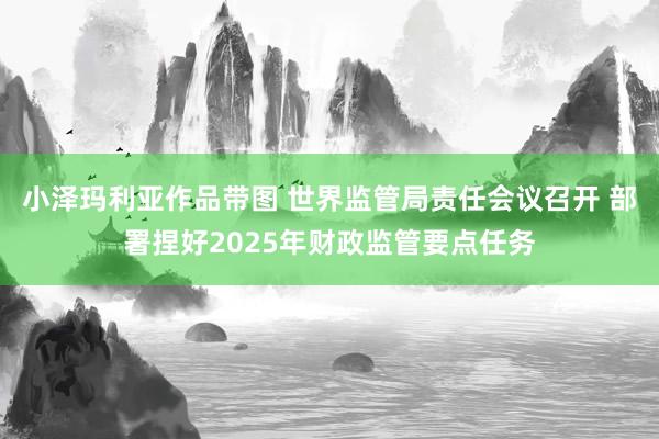 小泽玛利亚作品带图 世界监管局责任会议召开 部署捏好2025年财政监管要点任务