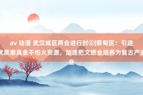 av 动漫 武汉城区两会进行时⑥|蔡甸区：引进优质磨真金不怕火资源，加速把文旅业培养为复古产业