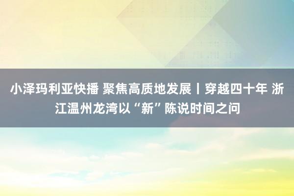 小泽玛利亚快播 聚焦高质地发展丨穿越四十年 浙江温州龙湾以“新”陈说时间之问