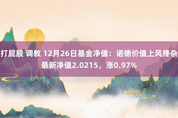 打屁股 调教 12月26日基金净值：诺德价值上风搀杂最新净值2.0215，涨0.97%