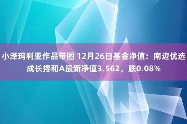 小泽玛利亚作品带图 12月26日基金净值：南边优选成长搀和A最新净值3.562，跌0.08%