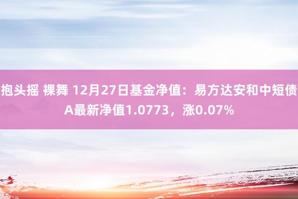 抱头摇 裸舞 12月27日基金净值：易方达安和中短债A最新净值1.0773，涨0.07%