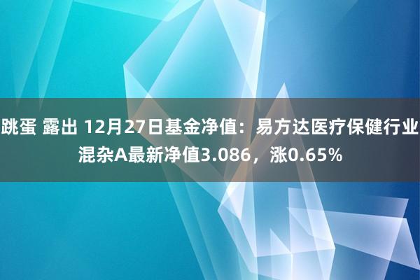 跳蛋 露出 12月27日基金净值：易方达医疗保健行业混杂A最新净值3.086，涨0.65%