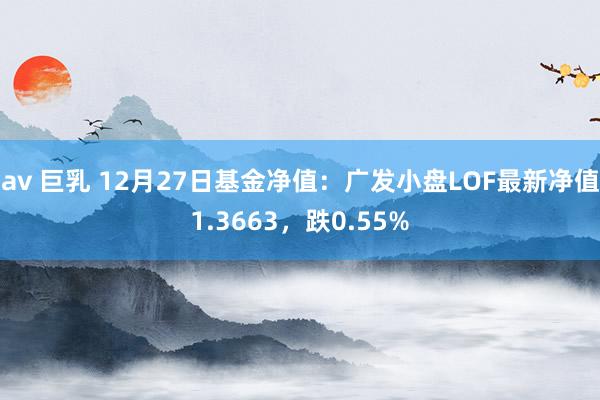 av 巨乳 12月27日基金净值：广发小盘LOF最新净值1.3663，跌0.55%