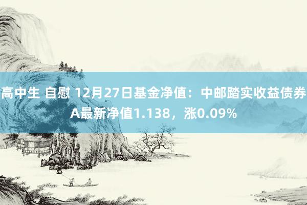 高中生 自慰 12月27日基金净值：中邮踏实收益债券A最新净值1.138，涨0.09%