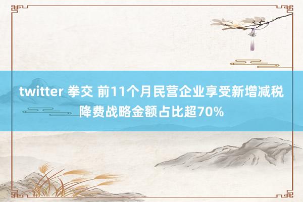 twitter 拳交 前11个月民营企业享受新增减税降费战略金额占比超70%