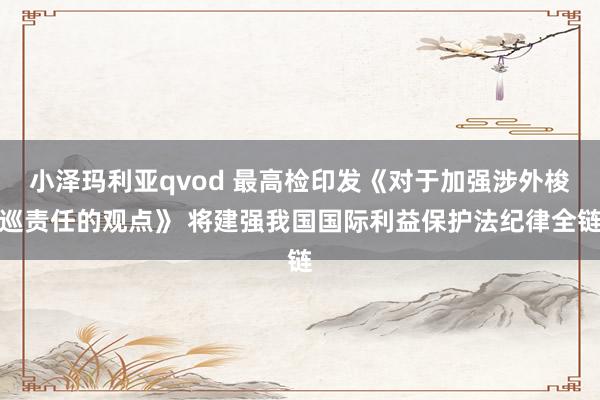 小泽玛利亚qvod 最高检印发《对于加强涉外梭巡责任的观点》 将建强我国国际利益保护法纪律全链