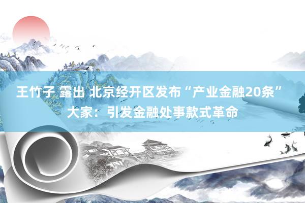 王竹子 露出 北京经开区发布“产业金融20条” 大家：引发金融处事款式革命