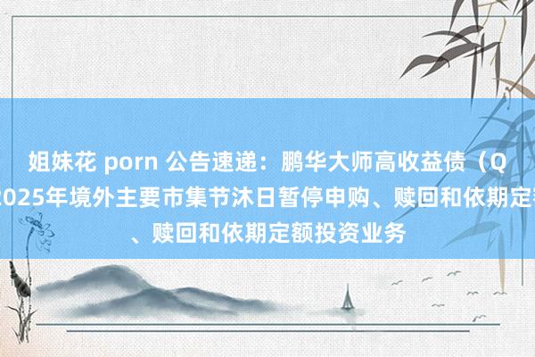 姐妹花 porn 公告速递：鹏华大师高收益债（QDII）基金2025年境外主要市集节沐日暂停申购、赎回和依期定额投资业务