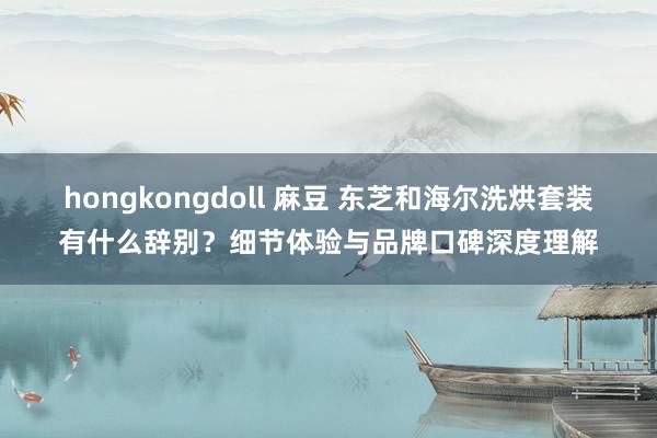 hongkongdoll 麻豆 东芝和海尔洗烘套装有什么辞别？细节体验与品牌口碑深度理解