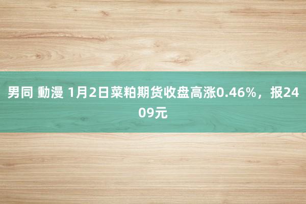 男同 動漫 1月2日菜粕期货收盘高涨0.46%，报2409元