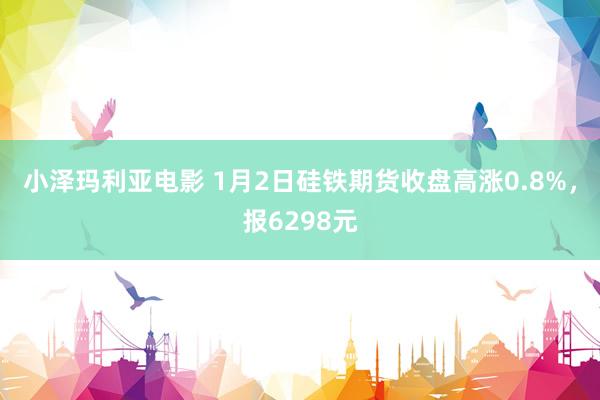 小泽玛利亚电影 1月2日硅铁期货收盘高涨0.8%，报6298元